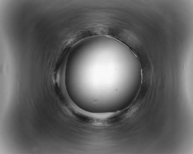 X0000087580088200704271313