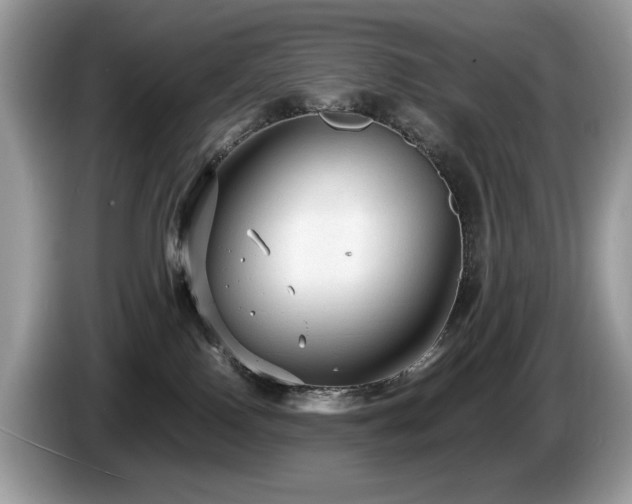 X0000087580090200704271313