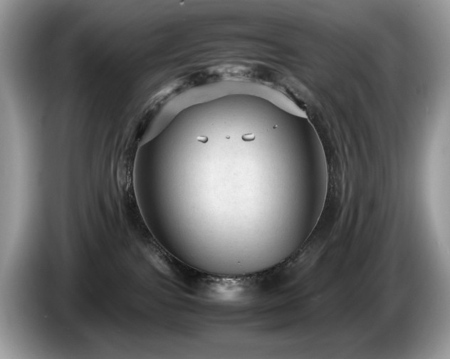 X0000087580091200704271313