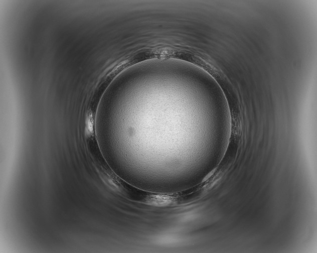 X0000087580095200704271313