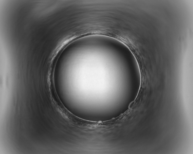 X0000087580098200704271312