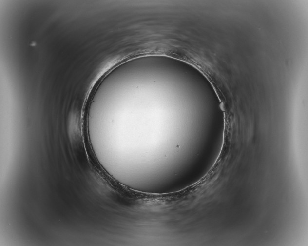 X0000087580100200704271312