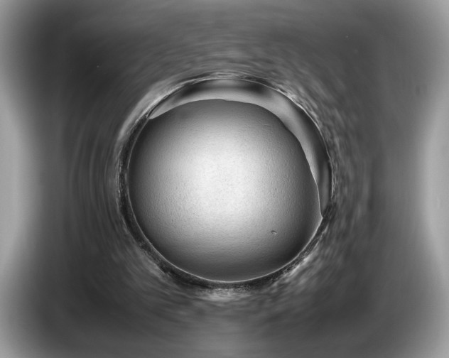 X0000087580101200704271312