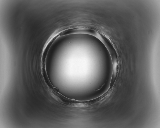 X0000087580102200704271312