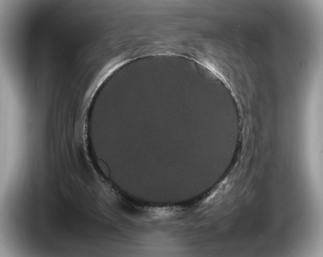 X0000087580103200704271312