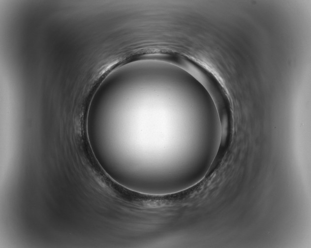X0000087580105200704271312