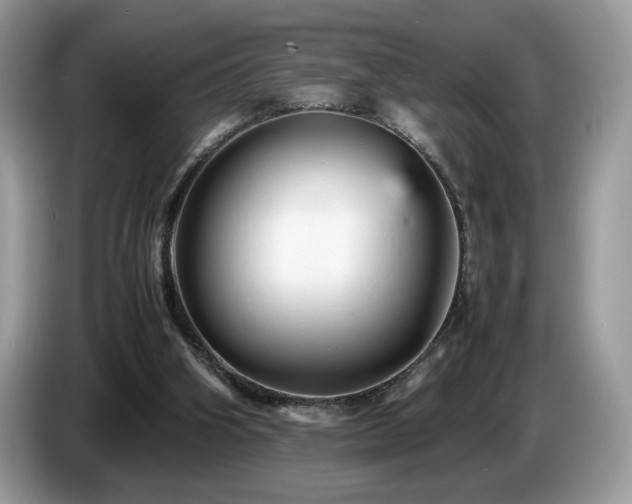 X0000087580106200704271312