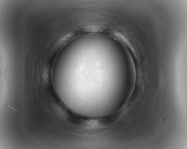 X0000087580114200704271312