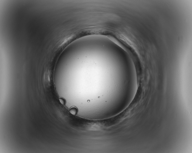 X0000087580115200704271312