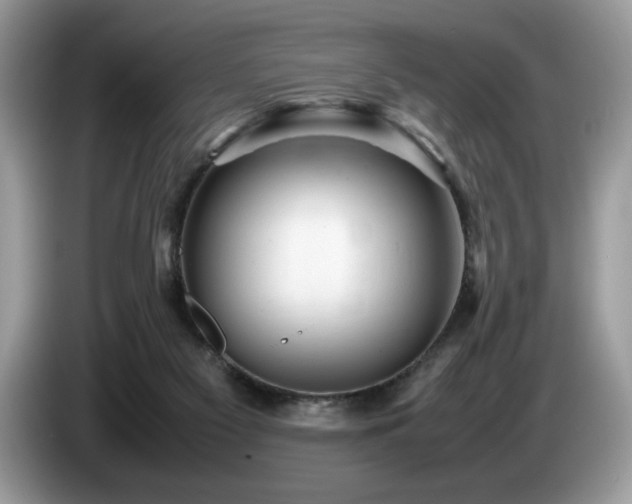 X0000087580117200704271312