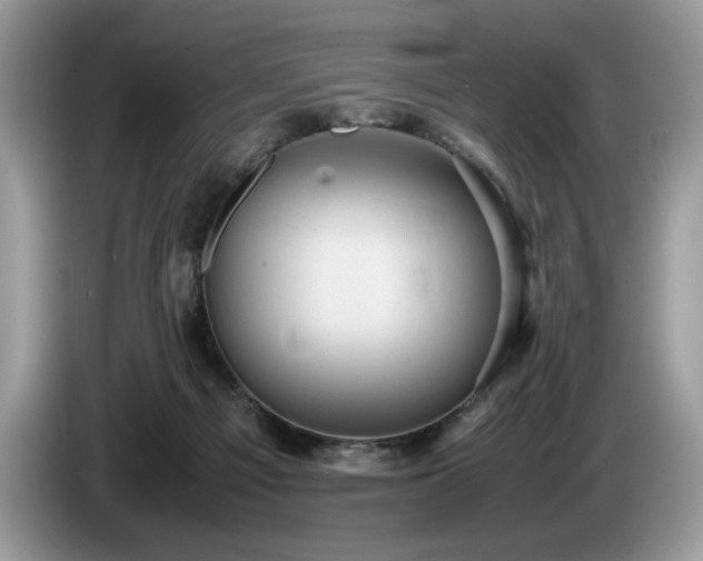X0000087580121200704271312