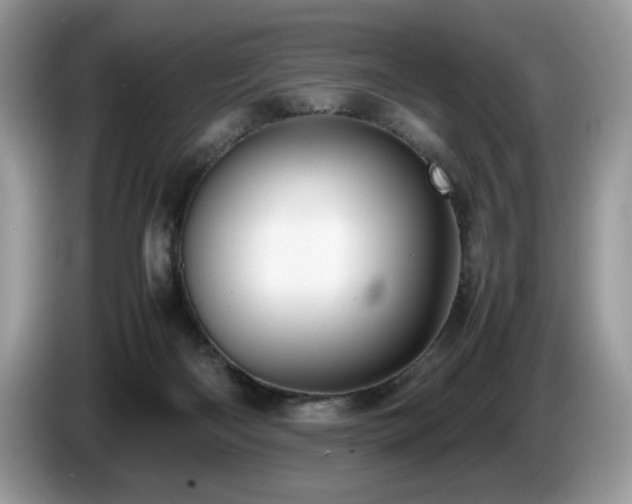 X0000087580122200704271312