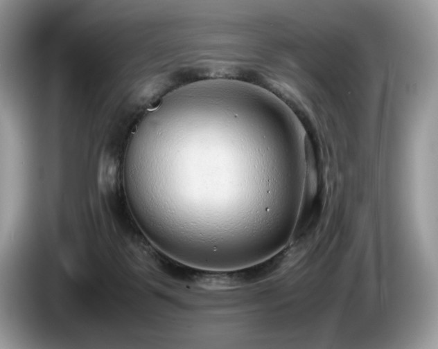 X0000087580123200704271312
