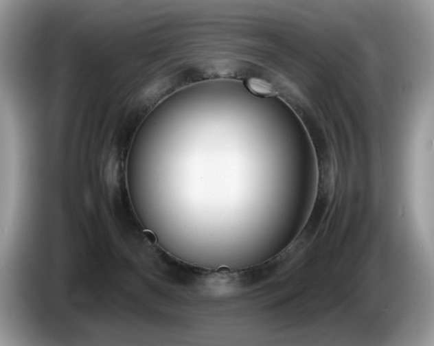 X0000087580126200704271312