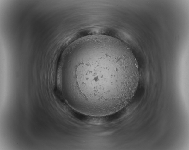 X0000087580127200704271312