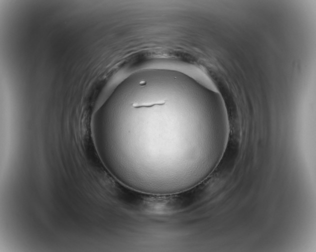 X0000087580131200704271312