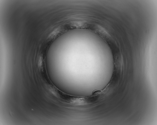 X0000087580132200704271312