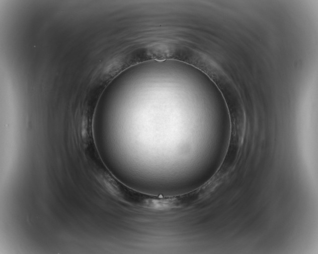 X0000087580134200704271312