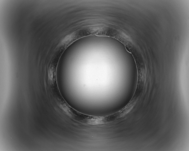X0000087580138200704271312