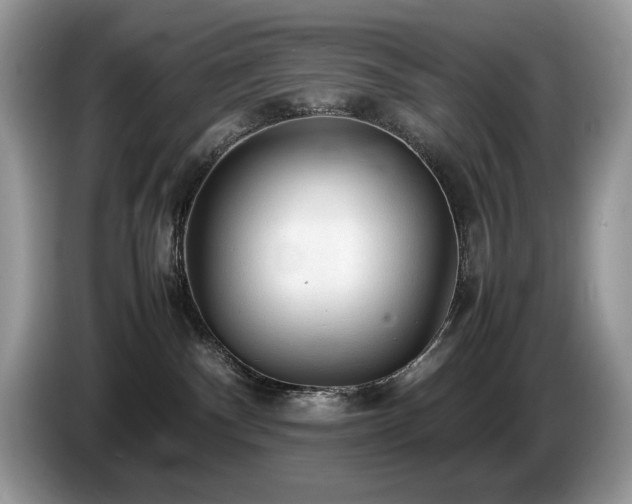 X0000087580140200704271312