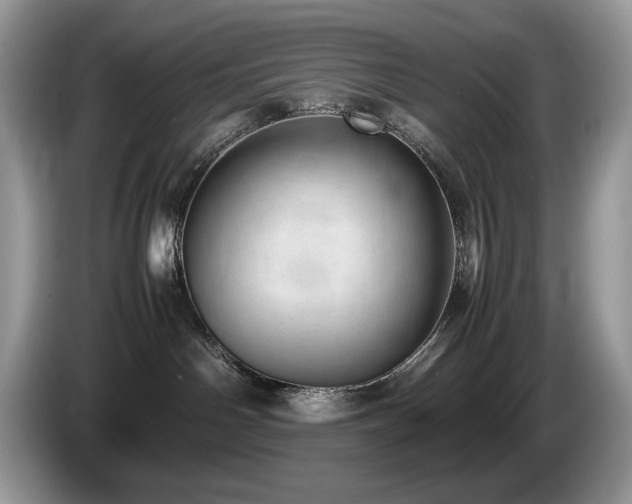 X0000087580142200704271312