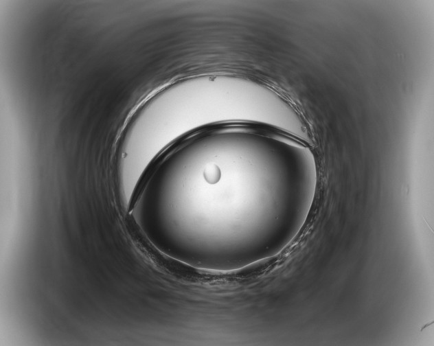X0000087580146200704271311