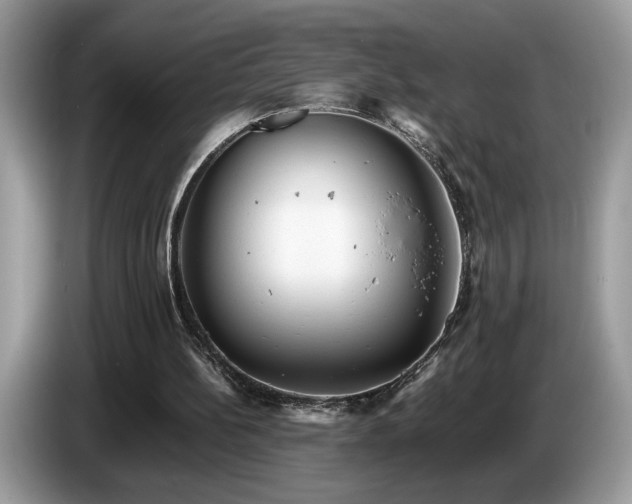 X0000087580148200704271311