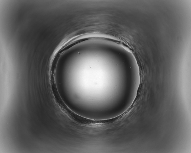 X0000087580150200704271311