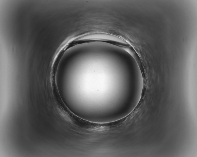 X0000087580152200704271311