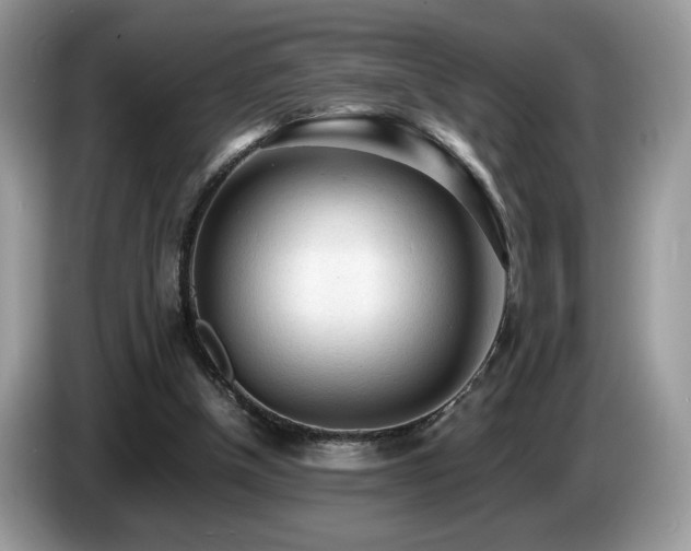 X0000087580154200704271311