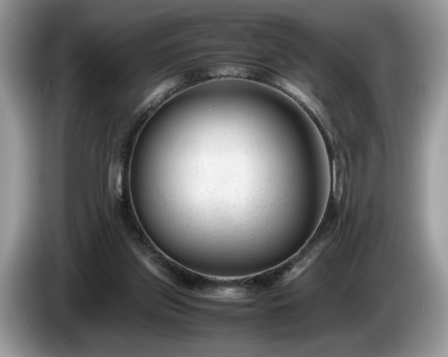 X0000087580157200704271311