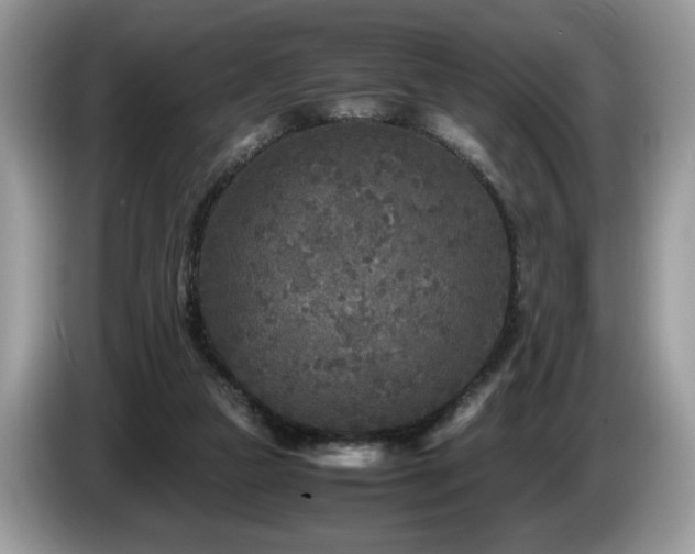 X0000087580161200704271311