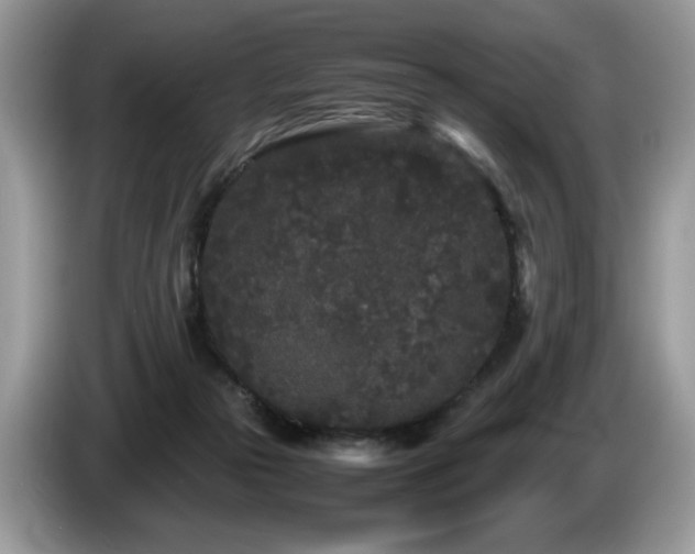 X0000087580169200704271311