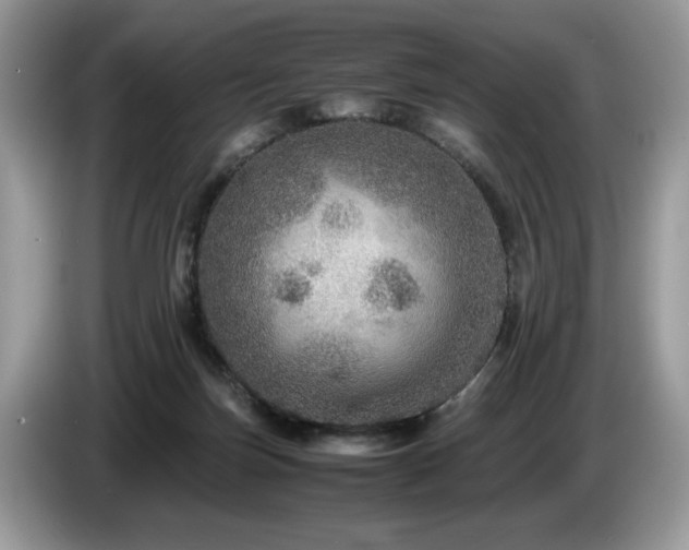X0000087580171200704271311