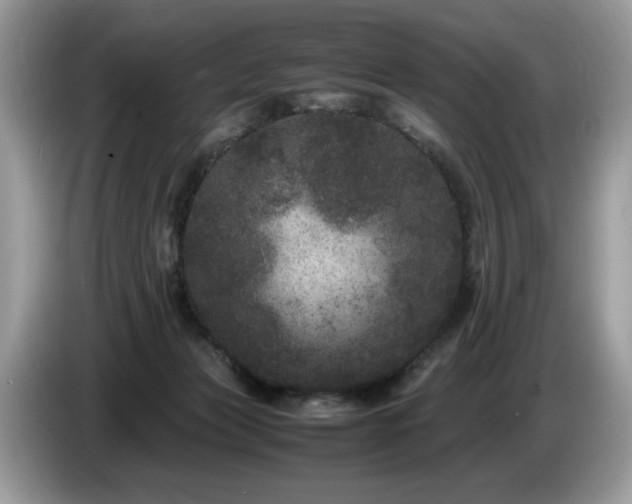 X0000087580173200704271311