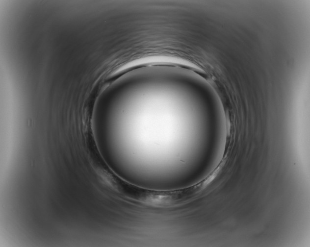 X0000087580174200704271311