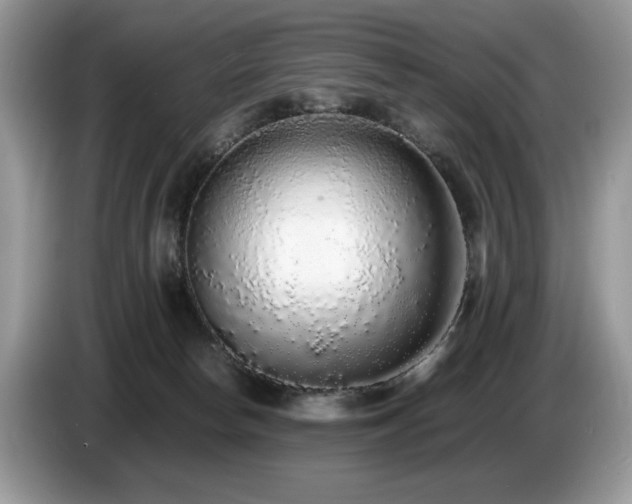 X0000087580178200704271311