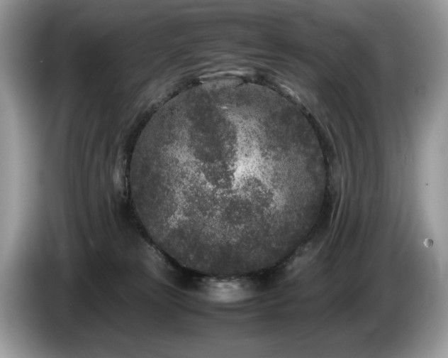 X0000087580181200704271311