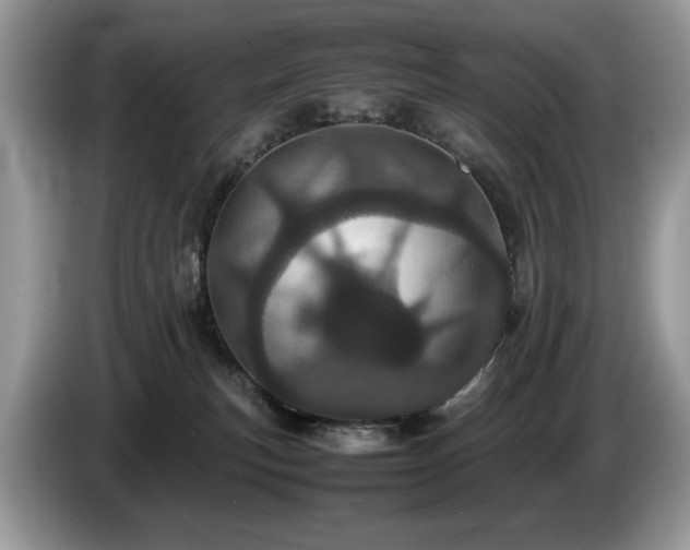 X0000087580183200704271311