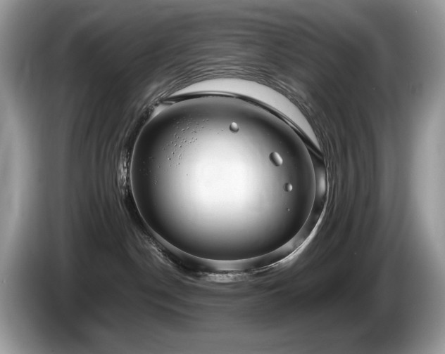X0000087580190200704271312