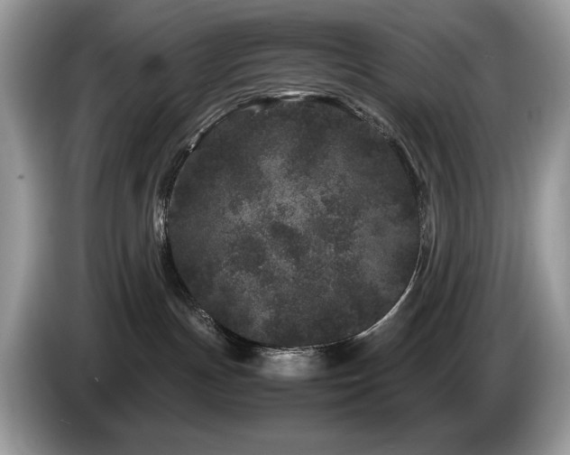 X0000087580191200704271312