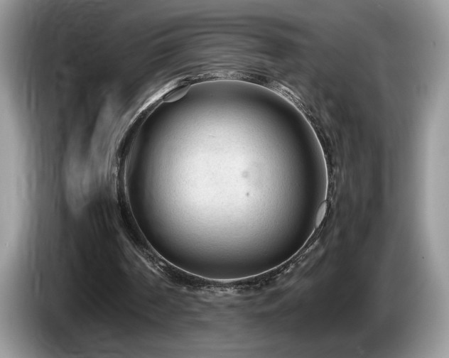 X0000087580194200704271311
