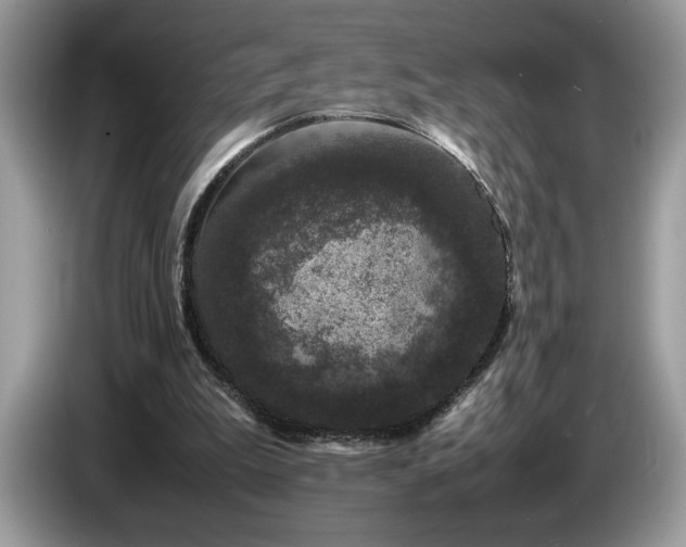 X0000087580199200704271311