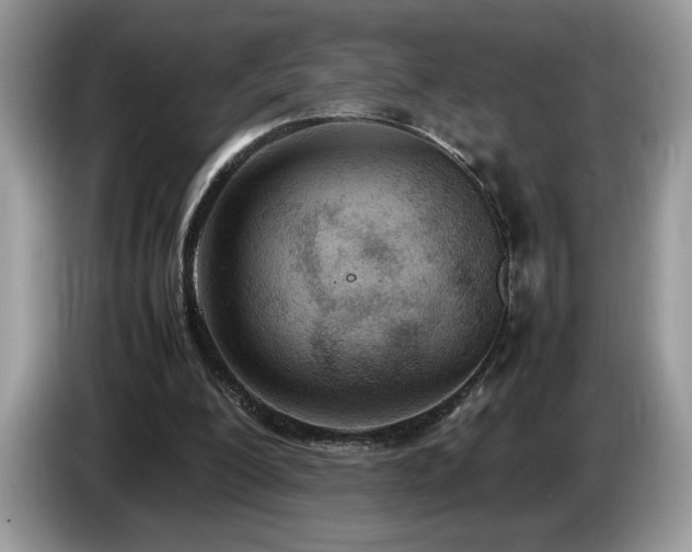 X0000087580200200704271311