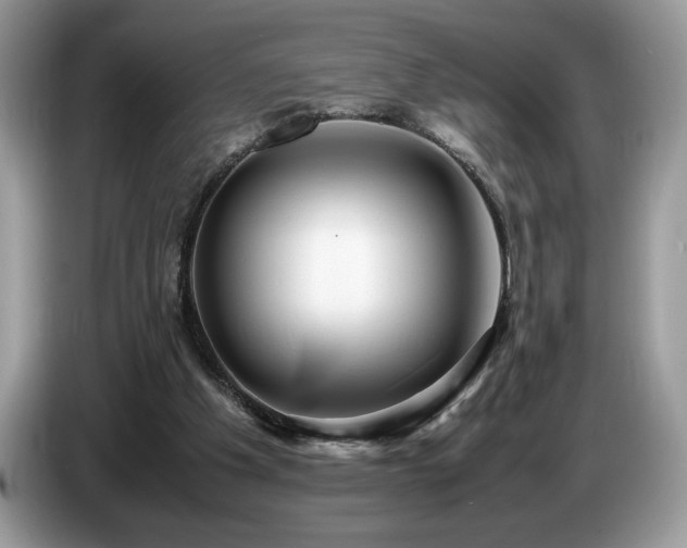 X0000087580201200704271311
