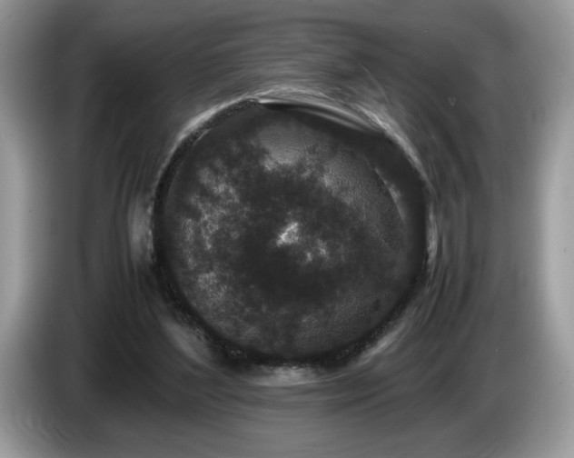 X0000087580204200704271311