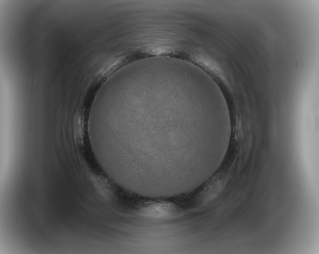X0000087580210200704271311