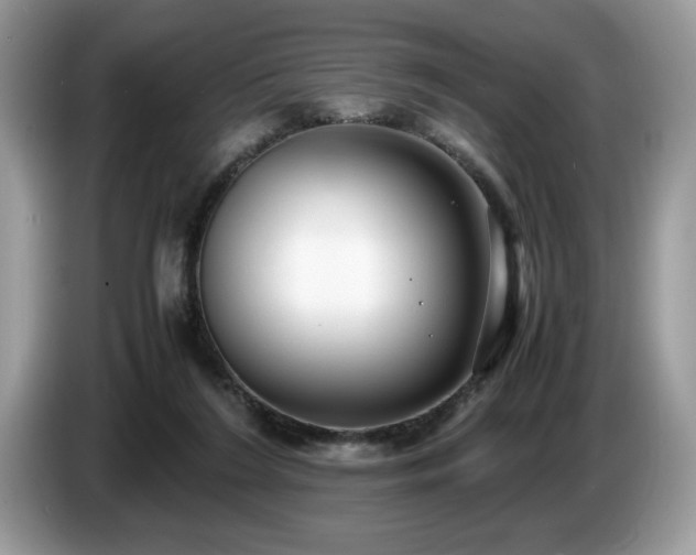 X0000087580212200704271311