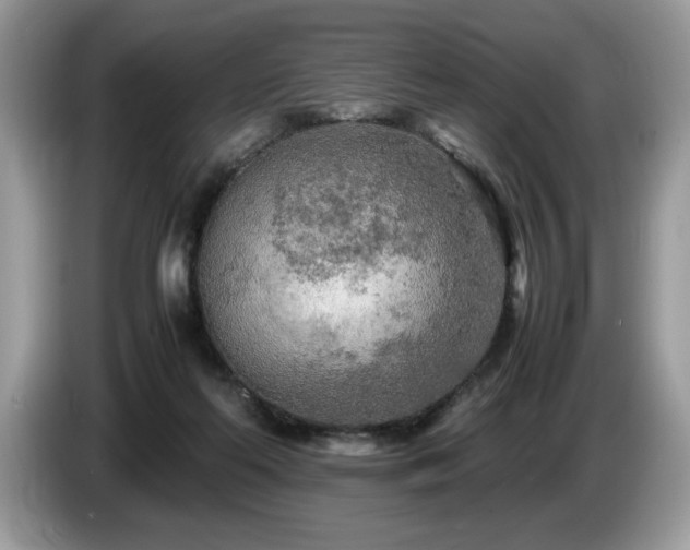 X0000087580214200704271311