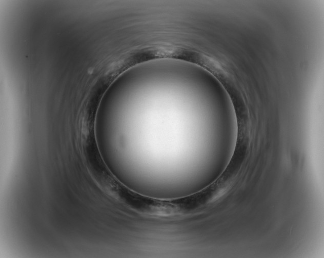 X0000087580215200704271311